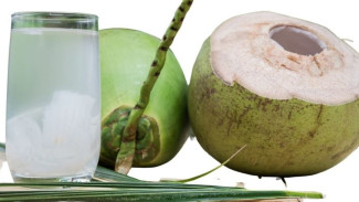 Air Kelapa Ternyata Bahaya Jika Berlebihan, Ini Manfaat dan Efek Sampingnya!