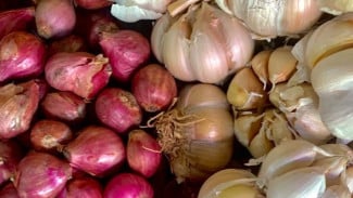 Jangan Remeh! Bawang Ternyata Anti-inflamasi Alami Terbaik, Cepat Redakan Sakit Tenggorokan