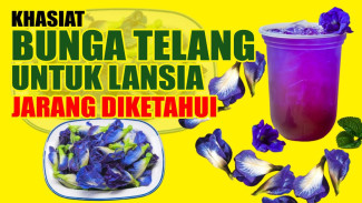 Rahasia Lansia Tetap 'Ngegas'! Si Ungu Kebiruan Ini Jamin Otak Sehat dan Bebas Nyeri Sendi