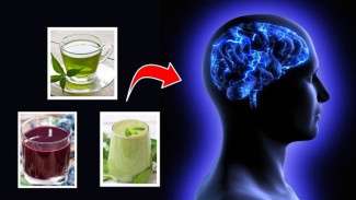 Otak Sering Lemot? Minum 11 Minuman Ini Agar Kinerja Otak Makin Maksimal