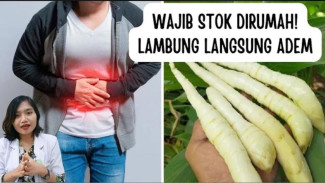 Asam Lambung Kambuh dan Perut Sakit? Coba Redakan dengan Pati Garut (Arrowroot Starch)!