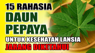 Lupakan Obat Kimia! Inilah 15 Rahasia Emas Daun Pepaya, Turunkan Kolesterol Cepat, Bikin Lansia Kembali Bugar