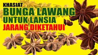 Kolesterol Minggir! Jantung Bahagia dan Gula Darah Terkendali Berkat Bunga Lawang, Jangan Sampai Tak Coba