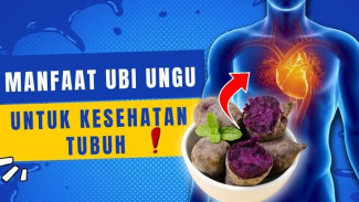 Jangan Remehkan Ubi Ungu, Senyawa Bioaktifnya Membuat Tubuh Makin Sehat