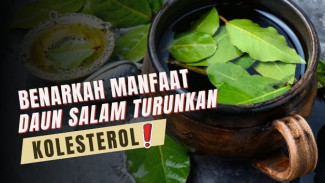 Daun Salam Bukan Bumbu Biasa, Punya Segudang Manfaat Untuk Kesehatan