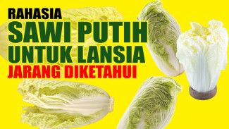 Nyesel Baru Tahu! Rahasia Panjang Umur Cuma Modal Sawi Putih, Antioksidannya Lebih Ganas dari Buah Mahal