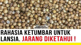 Stop Anggap Remeh! Rahasia Ajaib Ketumbar: Detox Logam Berat dan Bikin Jantung Sehat Sampai Tua