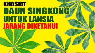 Rahasia Nenek Moyang! Daun Singkong Ternyata 'Skincare' Alami Paling Ampuh untuk Kesehatan Lansia