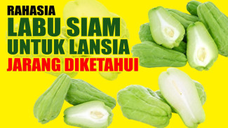 Stop Sepelekan Labu Siam: Rahasia Ajaib Lansia Bebas Hipertensi dan Kolesterol, Nyesel Baru Tahu Sekarang!