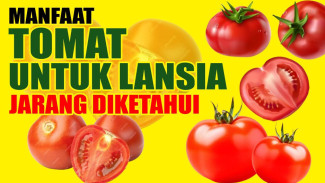 Investasi Kesehatan Paling Murah: Siapa Sangka Likopen Tomat Ampuh Jadi Perisai Antioksidan Super Kuat