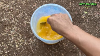 Jangan Buang Bahan Dapur Ini! Ternyata Bisa Jadi Pupuk Super yang Bikin Tanaman Cepat Subur & Rajin Berbuah!