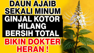 Dokter Terkejut! Rahasia Dapur 3 Bahan Ajaib Bersihkan Kerak Ginjal Menahun, Pegal Linu Langsung Minggat