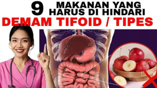Bukan Diet Biasa! Panduan Makanan Demam Tifoid: Kenali Musuh Usus Agar Cepat Pulih dan Tak Kambuh