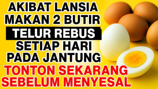 Sembuh dari Jantung Lemah Cuma dengan Telur Rebus Harian? Waspada 5 Kesalahan Ini Agar Telur Tak Jadi Racun