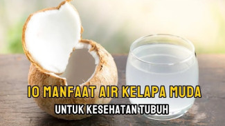 10 Manfaat Alami Air Kelapa Muda, Minuman Menyegarkan untuk Kesehatan Tubuh