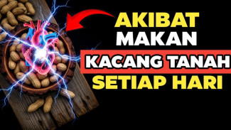 Mitos Asam Urat Runtuh! 9 Manfaat Kacang Rebus Bukti Kekuatan Alami Melindungi Jantung dan Tulang Anda