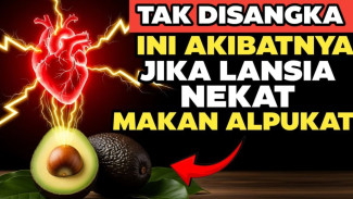 Makan Alpukat Tiap Hari? Ini 9 Rahasia Ajaibnya: Kolesterol Turun dan Sendi Jadi Enteng Bak Anak Muda