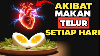 Tak Perlu Suplemen Mahal! Telur Rebus Adalah Pahlawan Murah Lawan Lupa, Mata Kabur, dan Otot Loyo