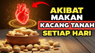 Kolesterol Turun Drastis Tanpa Obat, Cuma Modal Kacang Tanah! Ternyata Lemak 'Jahat' di Sana Adalah Kawan Terbaik