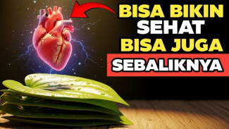 Stop Pakai Sirih Setiap Hari! Ahli Bongkar Rahasia Kekuatan Daun yang Bisa 'Makan' Balik Bakteri Baik