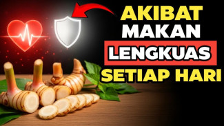 Bukan Sekadar Sayur Lodeh! Ternyata Lengkuas Adalah Akar Super Pembasmi Kolesterol Jahat