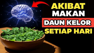 Lansia Wajib Tahu! 9 Khasiat Daun Kelor Ini Tameng Kesehatan dari Tulang Sampai Otak