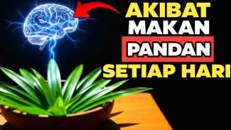 Wangi Pandan Simpan Harta Karun: 9 Manfaat Fantastis yang Gempur Rematik hingga Sulit Tidur