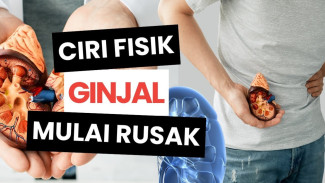 Gagal Ginjal Tidak Ada Gejala Awal Jelas, Kenali Ciri Fisik Sakit Pinggang Berbahaya