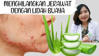 Wajah Glowing Alami! Cara Tepat Memakai Lidah Buaya Murni (Aloe Vera) untuk Jerawat dan Anti-Aging