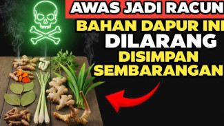 Stop Menyimpan Terlalu Lama! 6 Tanaman Dapur Ini Bisa Jadi 'Racun Mini' Kalau Salah Simpan