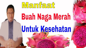Jantung Anda Seketika Aman! Ini Rahasia Buah Naga Merah Melawan Pembunuh Diam-Diam Stroke dan Kolesterol