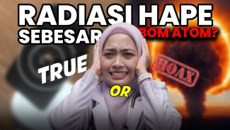 Mitos atau Fakta Radiasi HP Menyebabkan Kanker, Seberapa Bahaya Buat Kita?
