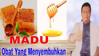 Rahasia Tersembunyi Madu: 11 Manfaat Luar Biasa Ini Bikin Hidup Sehatmu Berubah Total, Berani Coba Sekarang
