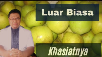 Jantung Sehat Total! Buah Hijau Apel Manalagi dari Malang Ini Rahasia Turunkan Kolesterol Jahat 20%