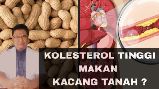 Penderita Kolesterol Wajib Tahu! Begini Cara Ajaib Makan Kacang Tanah Tanpa Takut Kolesterol Naik, Nomor 4 Paling Krusia