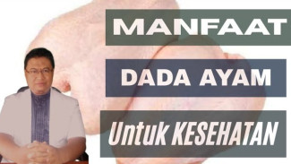 Bongkar Fakta Mengejutkan! Dada Ayam Ternyata Jagoan Sehat Jantung, Kolesterol Langsung Auto Minggir