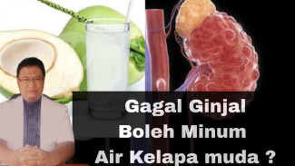 Gagal Ginjal Dilarang Minum Air Kelapa? Mengungkap Rahasia Kalium dan Risiko Jantung yang Mengintai Pasien Cuci Darah