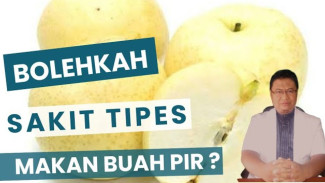 Ajaib! Bolehkah Pasien Tipes Makan Buah Pir? Dokter Bongkar Syarat Rahasia Agar Usus Tidak Sensitif
