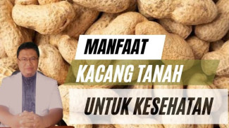 Stop Goreng! Si Kecil Kacang Tanah Ternyata Rahasia Awet Muda dan Otak Cerdas yang Bikin Penasaran