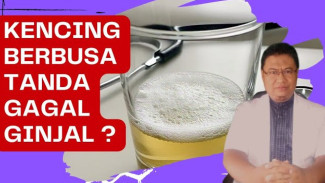 Urin Berbusa Tanda Awal Gagal Ginjal? Stop Panik! Fakta Dokter Ini Justru Bikin Anda Lega