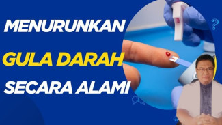 Dahsyat! 6 Makanan Alami Ini Jadi Senjata Rahasia Hancurkan Kolesterol Jahat di Tubuh Anda