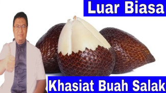Kabar Gembira Bagi Penderita Sembelit! Cuma Salak yang Mampu Melunakkan Tinja Secepat Kilat