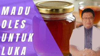 Stop Oleskan Madu Dapur ke Luka! Ini Alasan Medis Kenapa Bahan Ajaib Ini Justru Berbahaya Jika Tak Steril