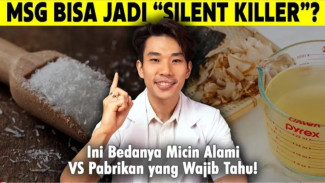 MSG (Micin) Aman atau Bahaya? MEMBONGKAR Tuntas Bedanya Micin Alami vs Micin Pabrikan! Jangan Salah Kaprah!