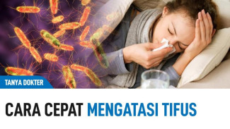 Cara Mudah Menyembuhkan Tipes di Rumah, Cepat Pulih Seperti Sedia Kala