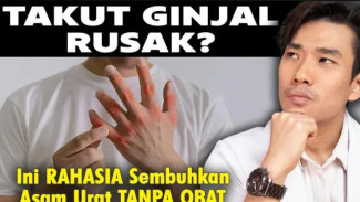 Bebas Obat Asam Urat Permanen: 5 Organ Kunci & Resep Herbal Atasi Nyeri Akut Sampai Tuntas!