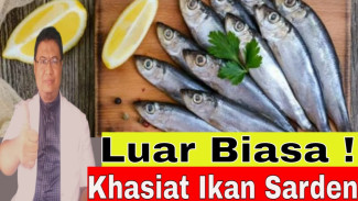 Rahasia Sehat 8 Manfaat Ikan Sarden Kecil: Ajaib Banget! Jadi Obat Alami Turunkan Kolesterol dan Gula Darah