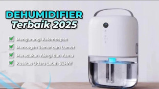 Selamat Tinggal Bau Apek! 7 Dehumidifier Murah, Berkualitas, dan Efektif Usir Lembap Parah!