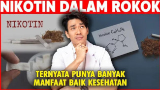 Nikotin Ternyata Punya Sisi Malaikat? Bongkar Fakta Rahasia Zat Paling Kontroversial di Dunia Ini!