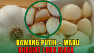 Rahasia Dokter Kaget Efek Bawang Putih dan Madu Bikin Tubuh Kebal Penyakit dari Ujung Kaki Sampai Kepala